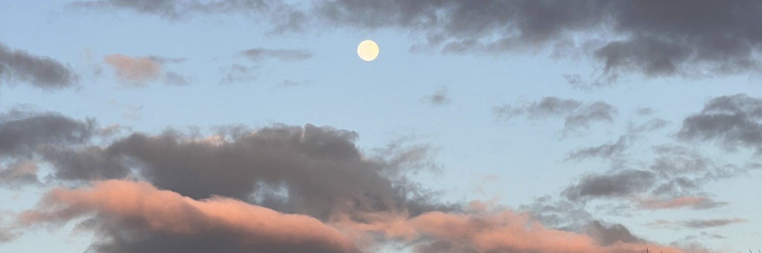 LetsonKenzie's profile banner image