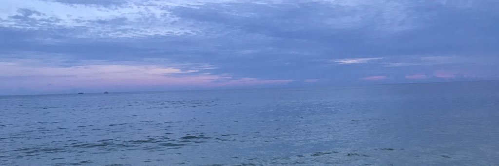 stephconnell76's profile banner image