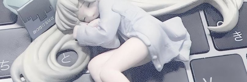 風気's banner