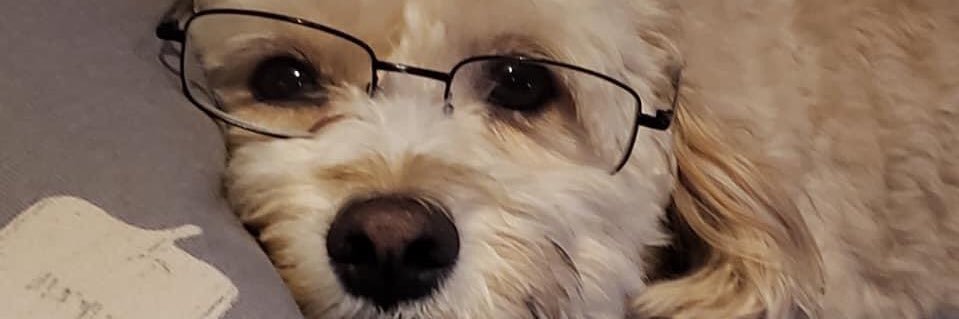 Leafy13_'s profile banner image