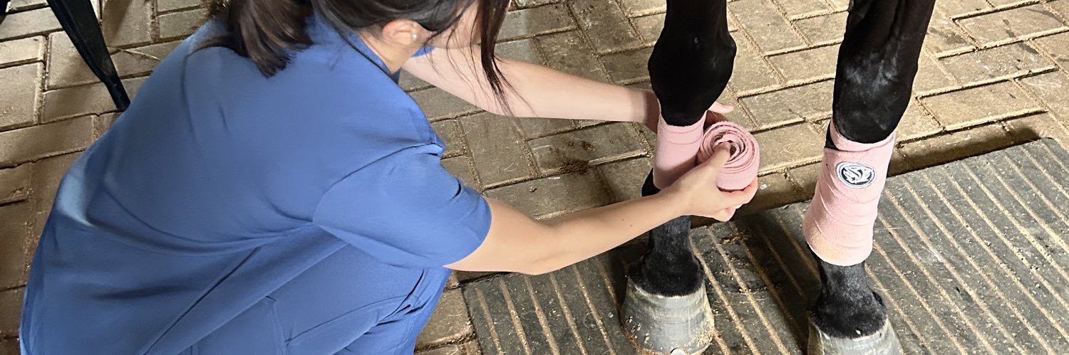 𝓐𝓭𝓮𝔂 🍓 banner