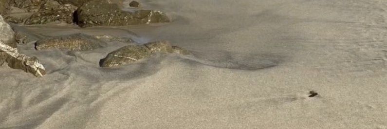 lipontop's profile banner image