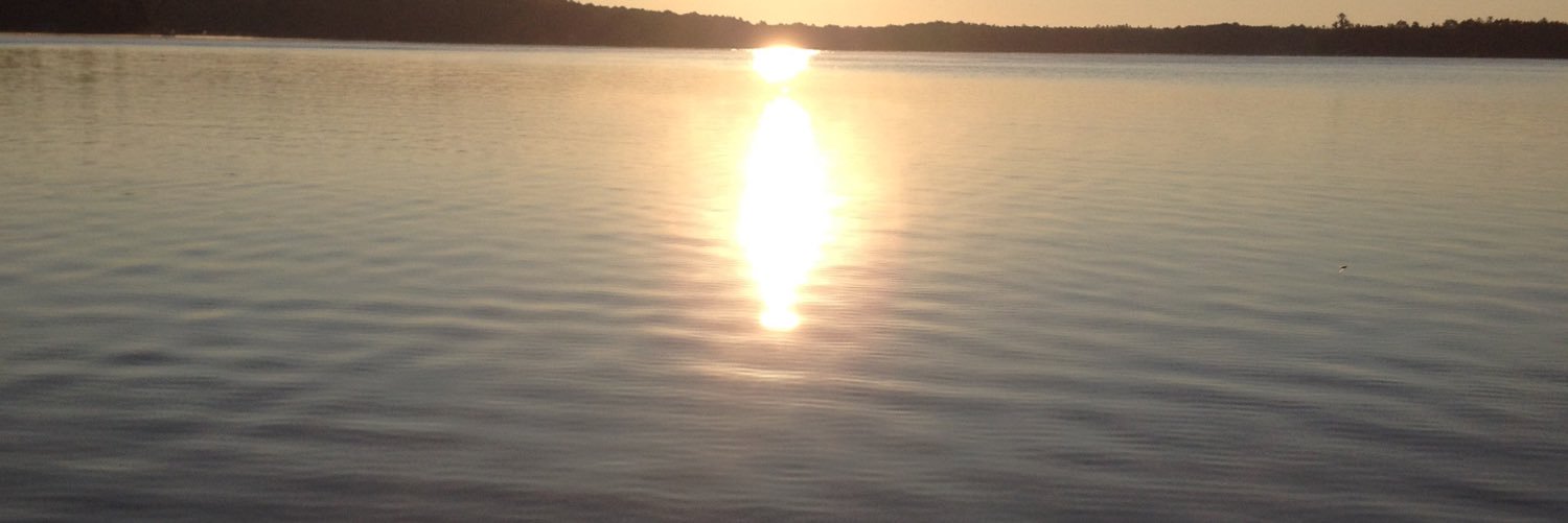 BobWissing's profile banner image
