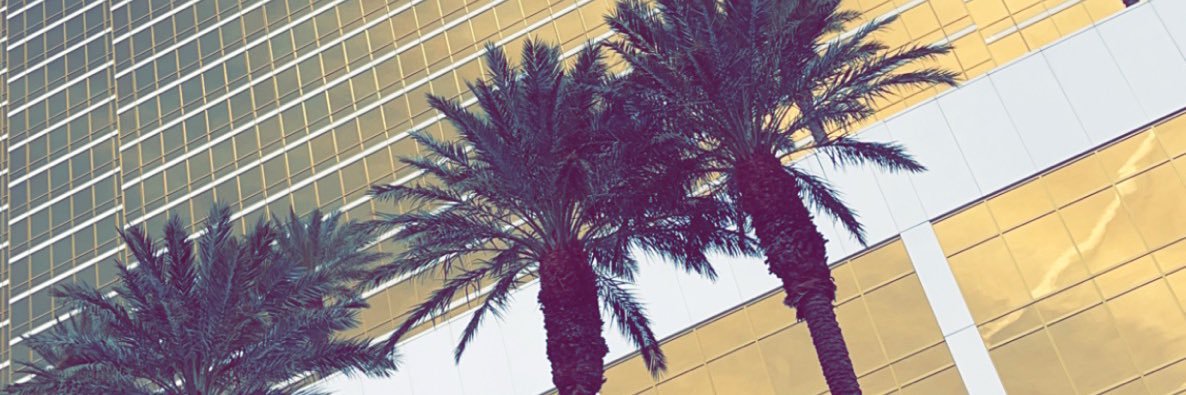 D12_ramirez's profile banner image