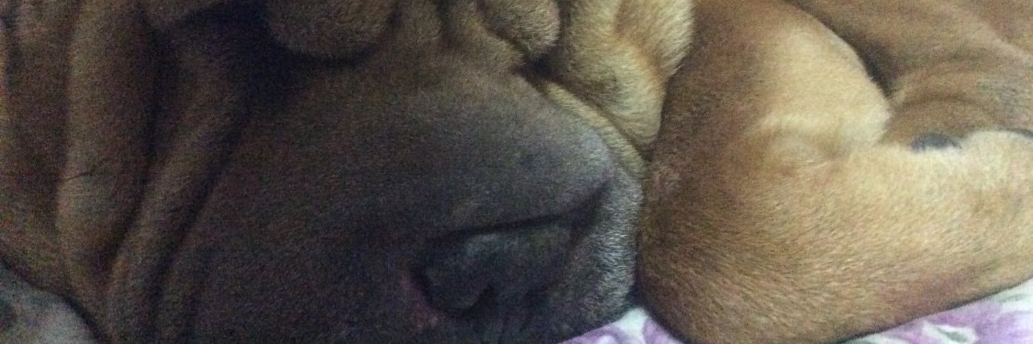 asmguerrera's profile banner image