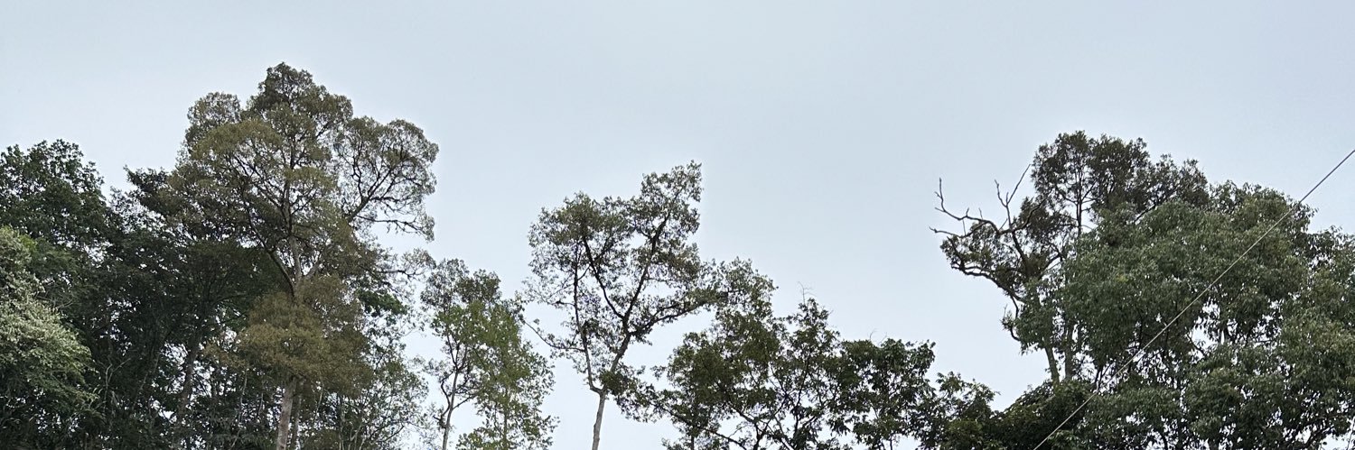 MuazmilHadi's profile banner image