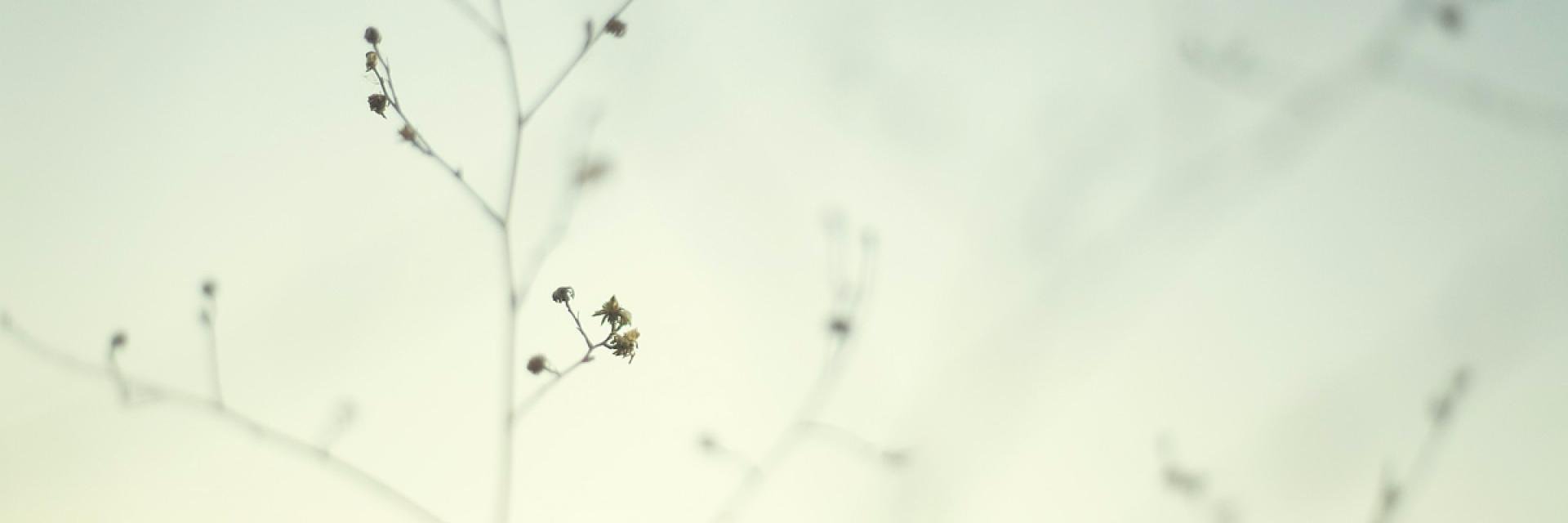 CeciMollo's profile banner image