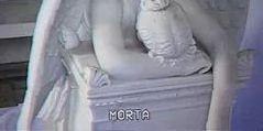 perola_jam's profile banner image