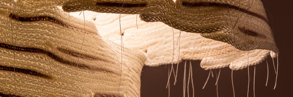 Doug Johnston banner