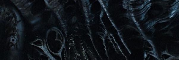 𝙏𝙝𝙚 𝙎𝙬𝙖𝙧𝙢🕷️ banner