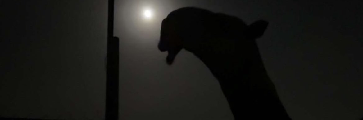 ًً banner