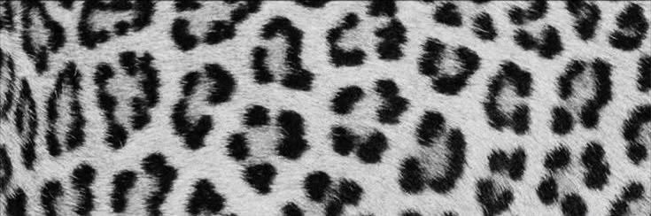 𝕽𝖆𝖏𝖆's banner