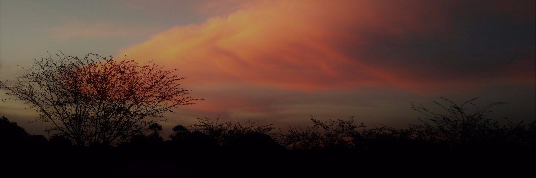 rodrigolliveira's profile banner image