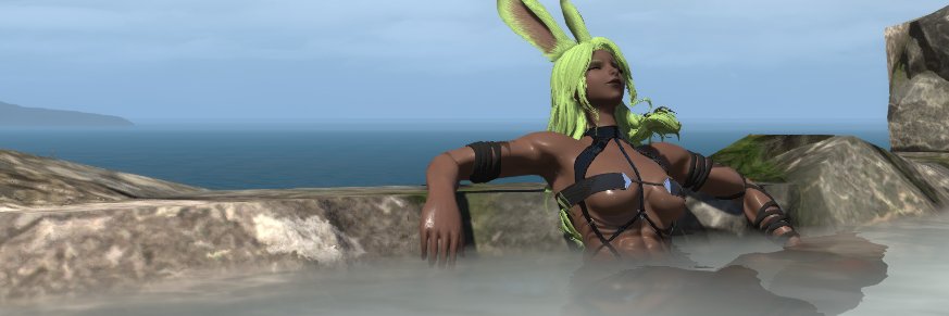 Idol of the Voidsents banner