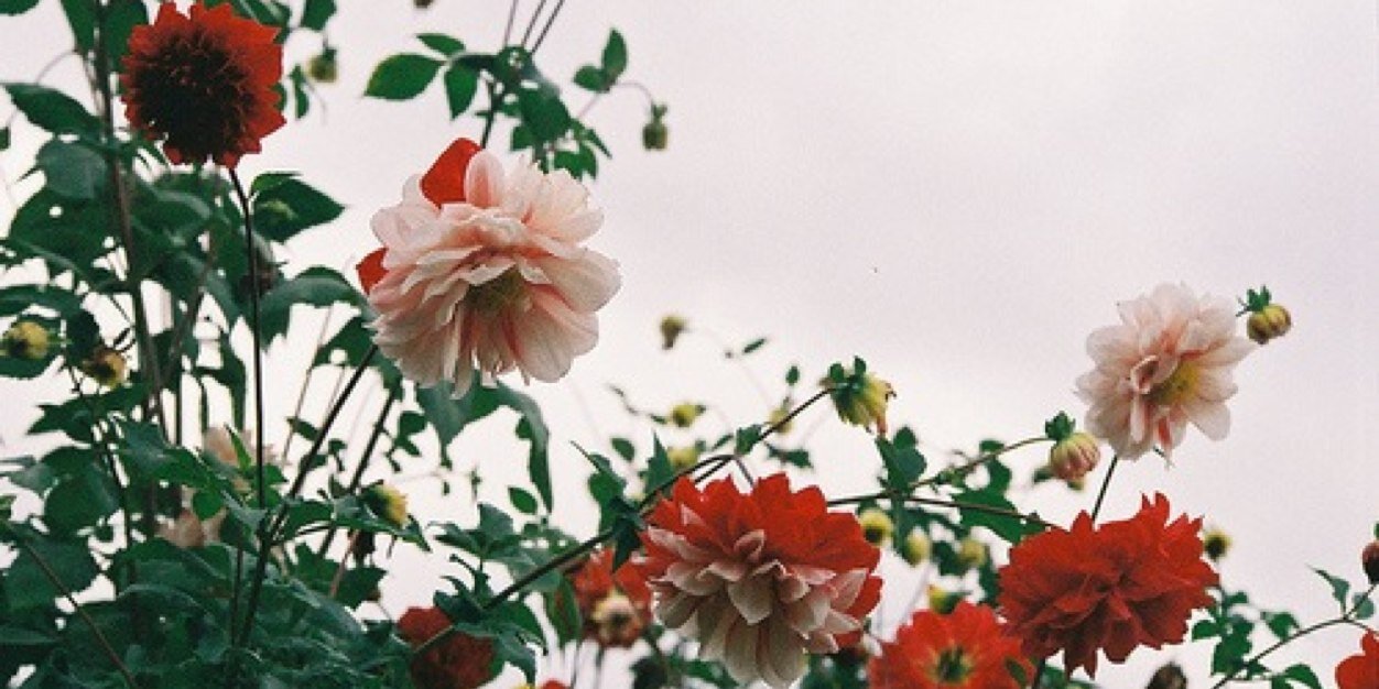 zainebxx's profile banner image