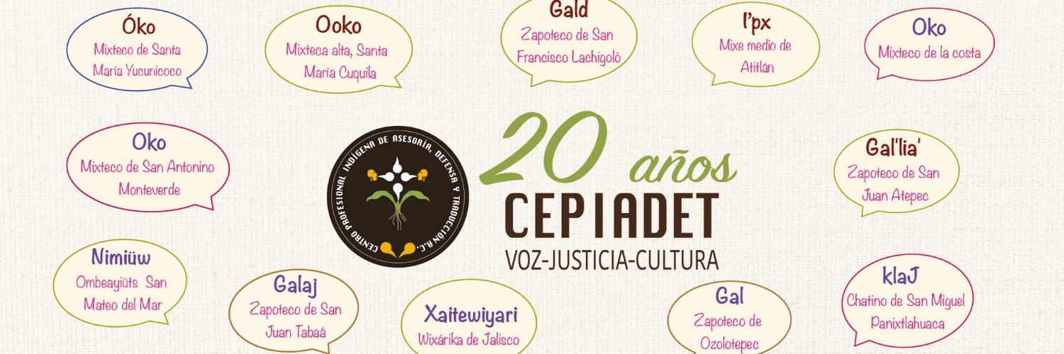 CEPIADET banner