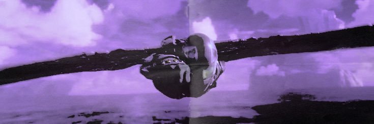 lostbirdj's profile banner image