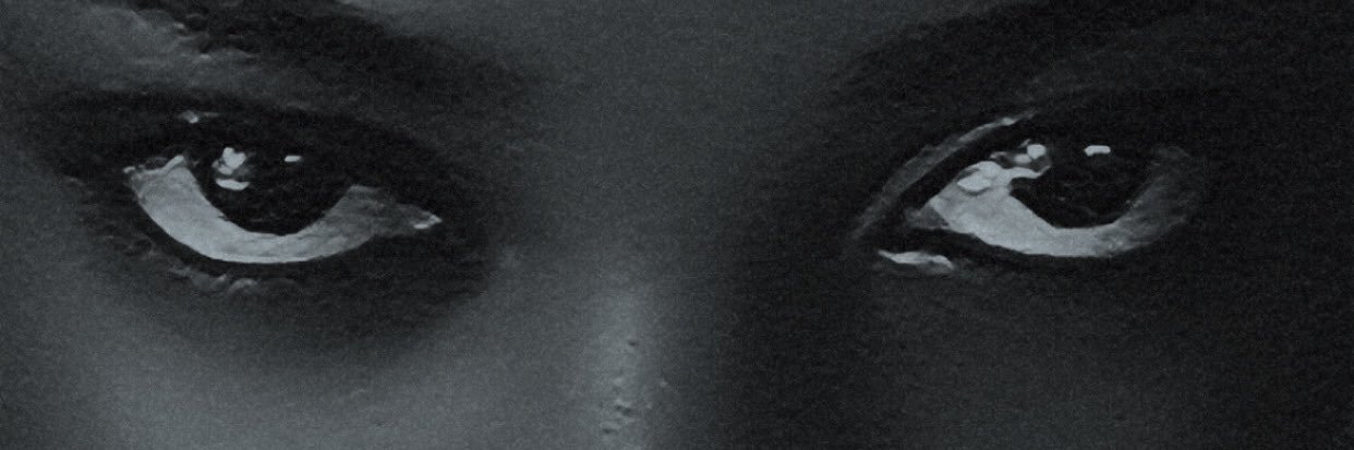 Lioness 🦁✨ banner