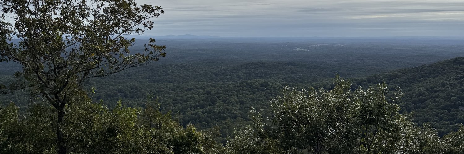 anoelle16's profile banner image