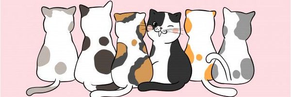 wowhow1412 Profile Banner