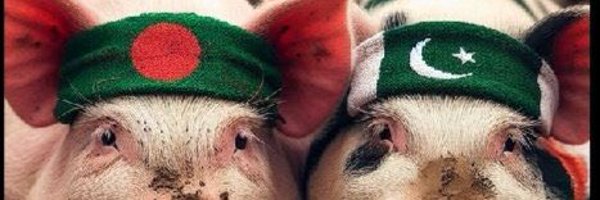 PorkieHunter Profile Banner