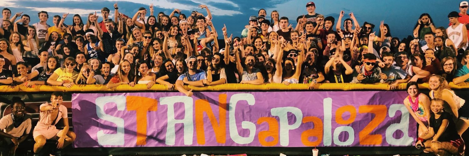 Mustang Nation banner