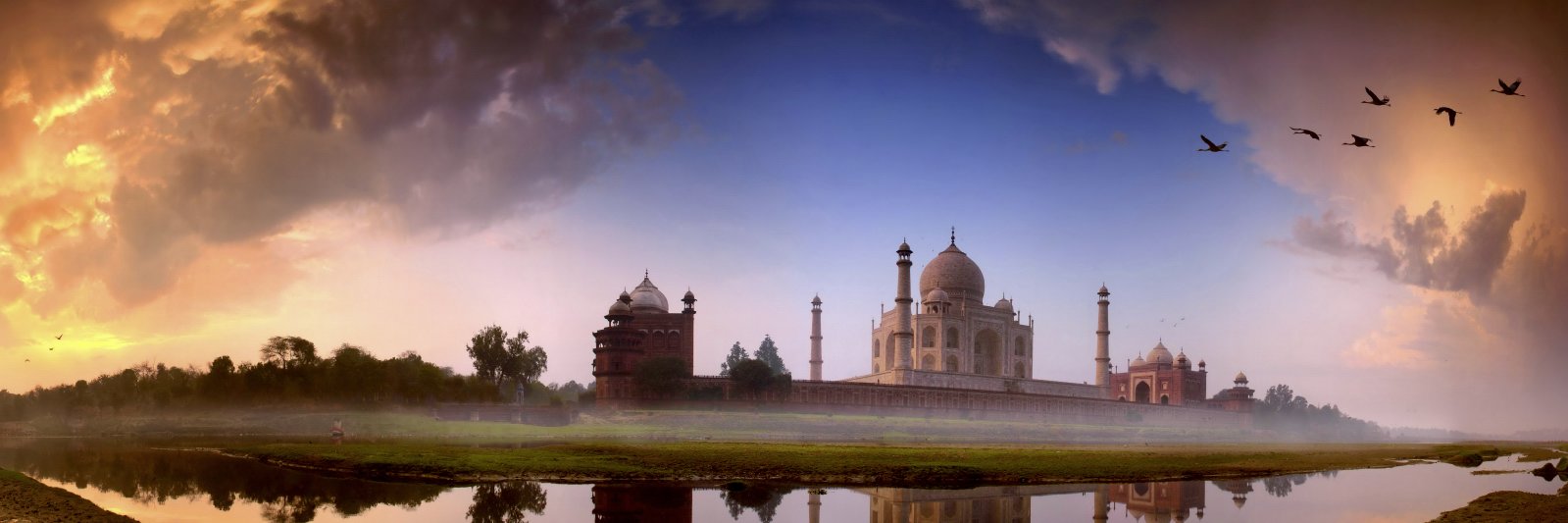 Amit Pasricha banner