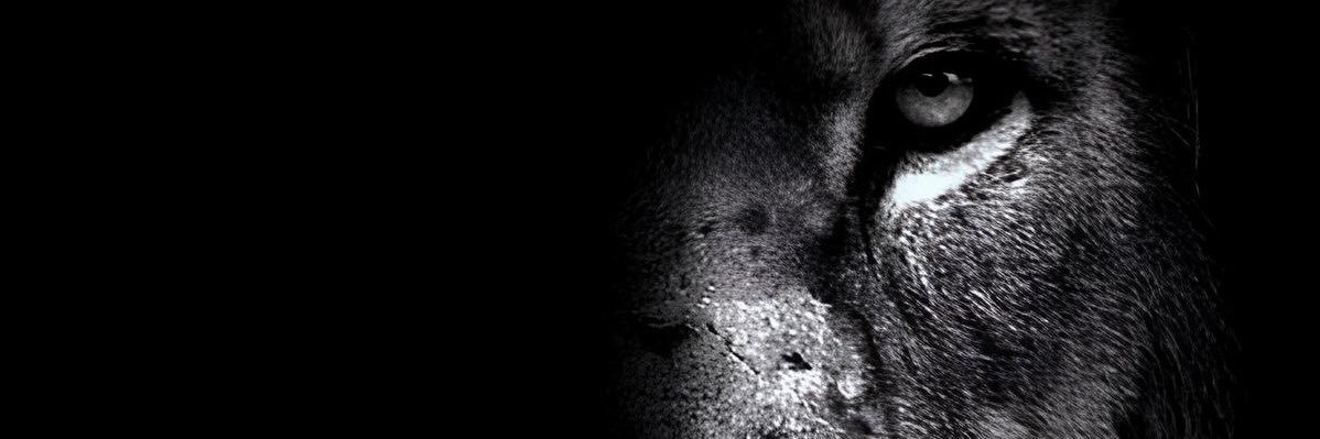 D4our6ix's profile banner image