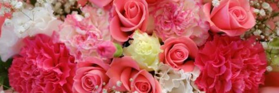 あやびしん banner