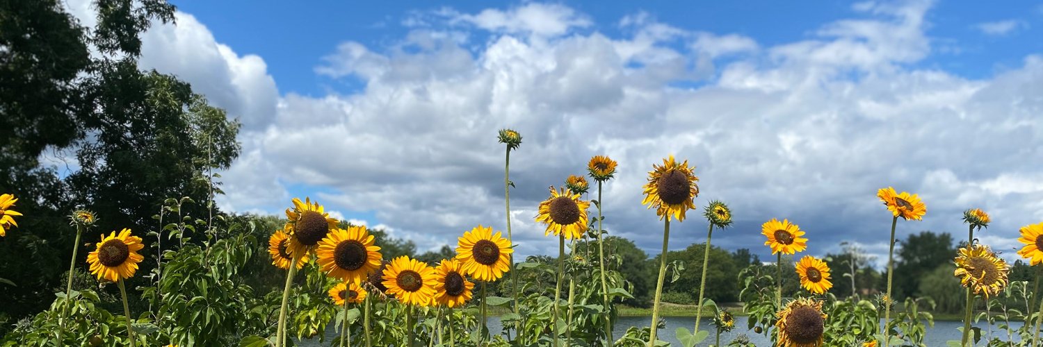 Caitlin Collins banner