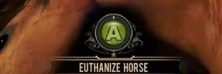 The Pony ™️ banner