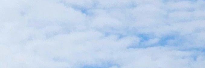 ·°∴.PP．·°∴． banner