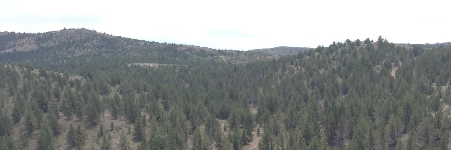 brycemcstud's profile banner image