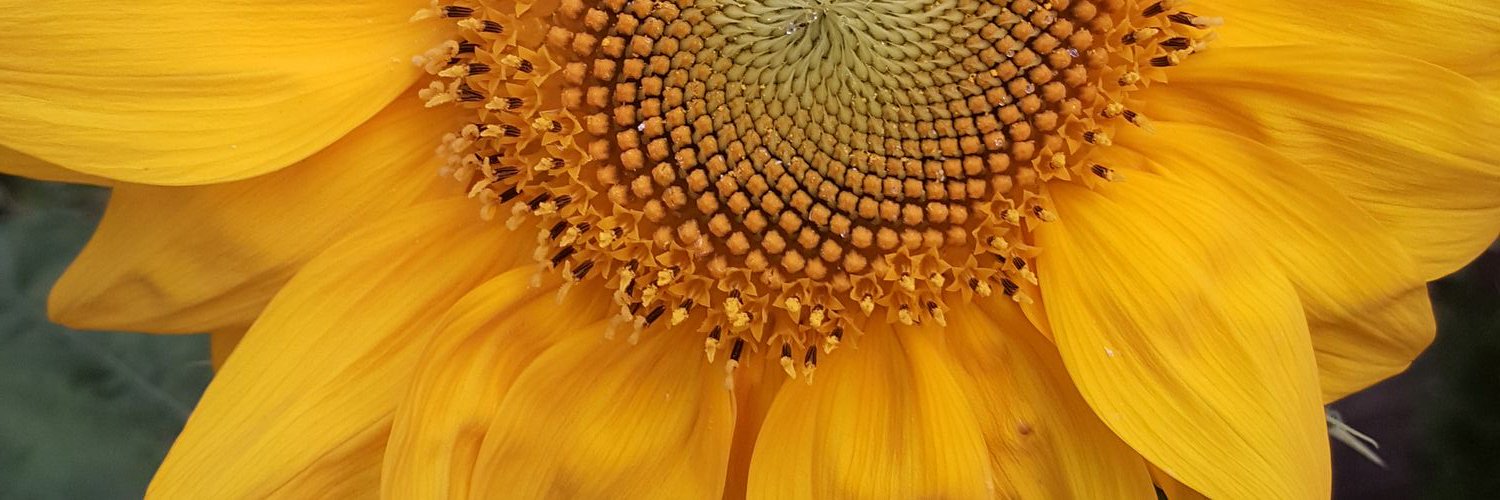 mums416's profile banner image