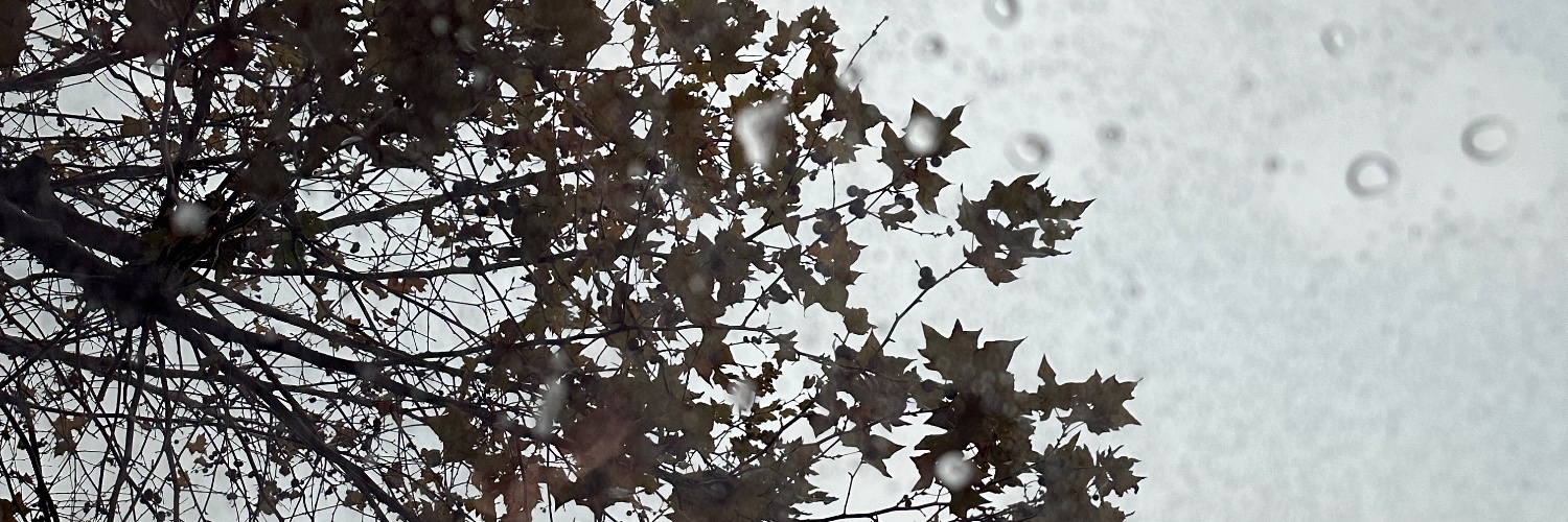 jassmeettt's profile banner image