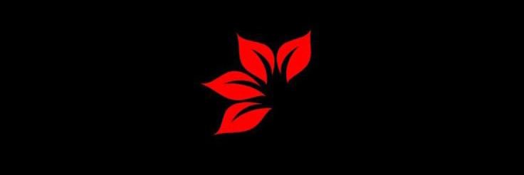 TRUST LIKE ❤️ banner