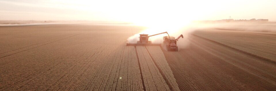 farmer8230's profile banner image