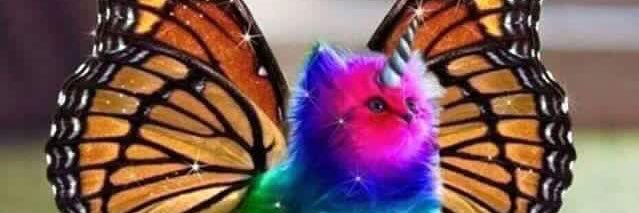 LyndaCink's profile banner image