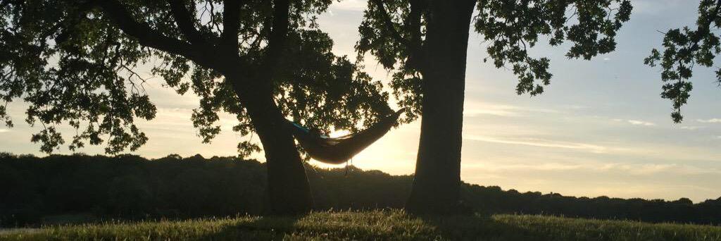 TonyCheerio's profile banner image