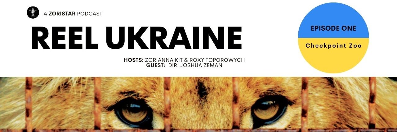 Zoriannakit's profile banner image