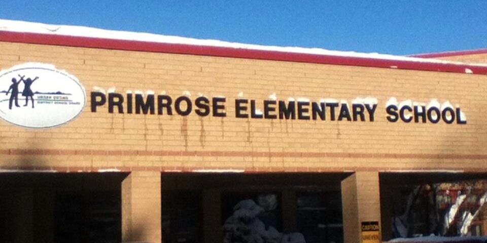 PrimroseES1's profile banner image