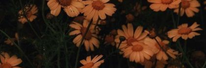 vgmz08's profile banner image