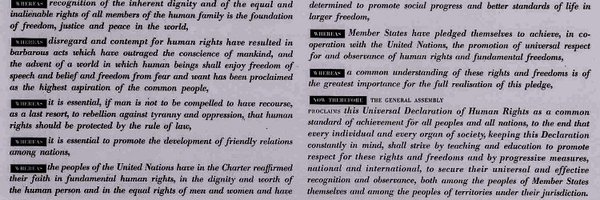 shaunamc Profile Banner