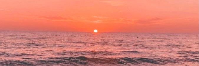 Ale 🐋 banner