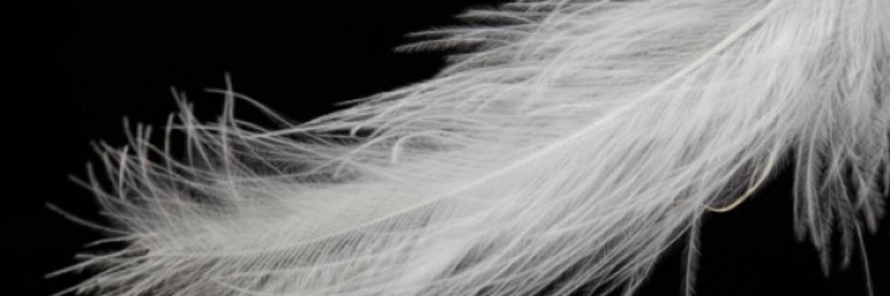aap_why's profile banner image