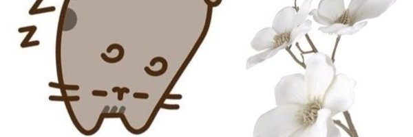 wheresmyskinn Profile Banner