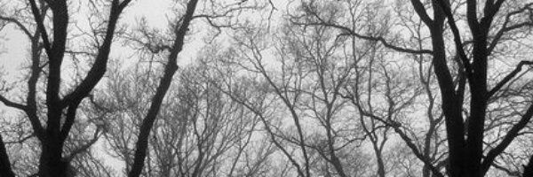 𝘓𝘰𝘰𝘯𝘪𝘦 ☾⋆˚.⋆ banner