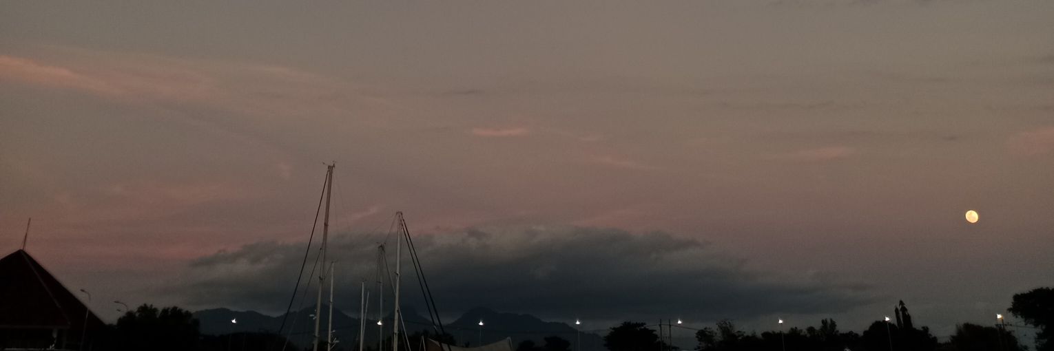 fiaijocyem banner