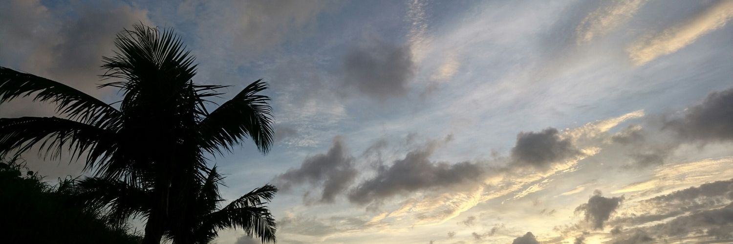 tomota_ss's profile banner image