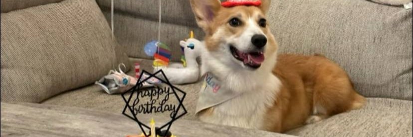 yisusfut's profile banner image